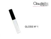 Gloss 01